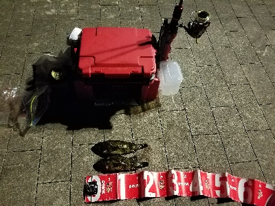 寒い中の短時間勝負！勝ちました