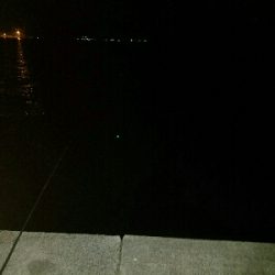 タチウオ釣り　～アタリなし～