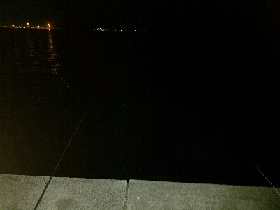 タチウオ釣り　～アタリなし～