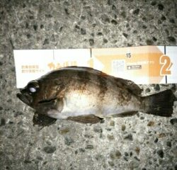 会心のメバリング