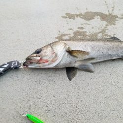 御天道様おはようございます。