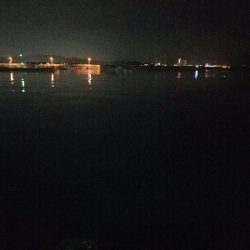 アジ釣り　～食いが悪かった～