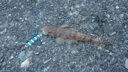 和歌山釣始め！