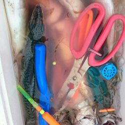 超大漁❗お土産釣！