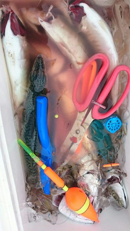 超大漁❗お土産釣！