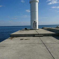 ガシラ(カサゴ)、ウマヅラ釣れました