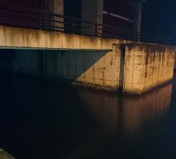 あけおめフィッシュ♪