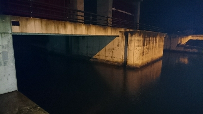 あけおめフィッシュ♪