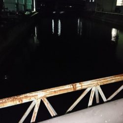 連日釣果でサイズアップ♪(*^^*)