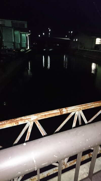 連日釣果でサイズアップ♪(*^^*)