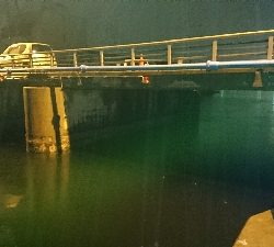 雨ん中ですがお約束の・・・♪