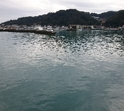 ヒラメのはずが