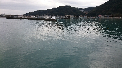 ヒラメのはずが