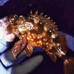 なんだかなぁー