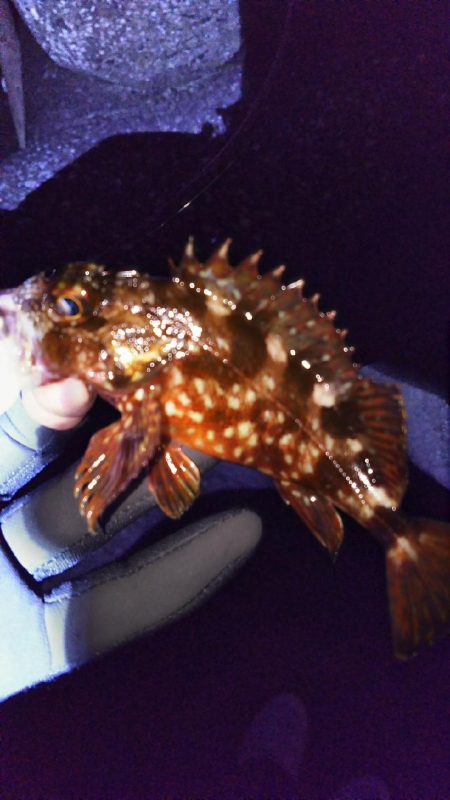 なんだかなぁー