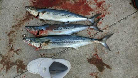 年明け1投目から…