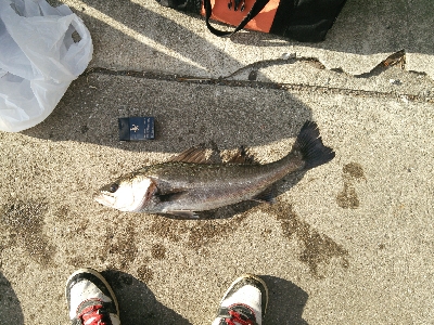 風強すぎ！寒すぎ！