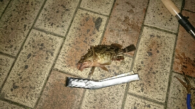 南港しか選択なかったんで、場所は舞洲付近です