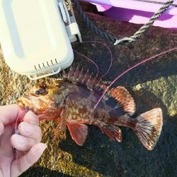 今年初穴釣りへ