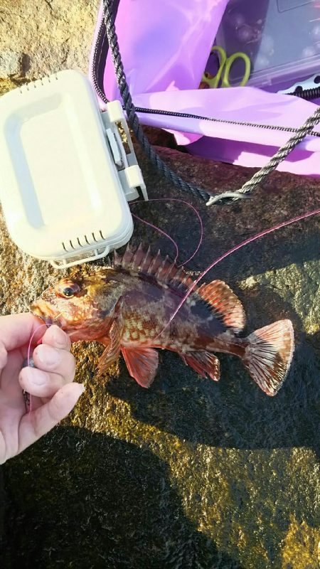 今年初穴釣りへ