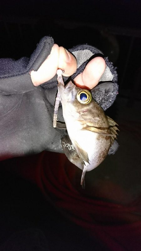 ラインセレクト