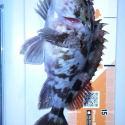 休みになったら北西爆風(*_*)