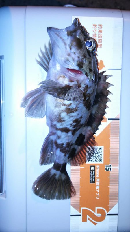 休みになったら北西爆風(*_*)