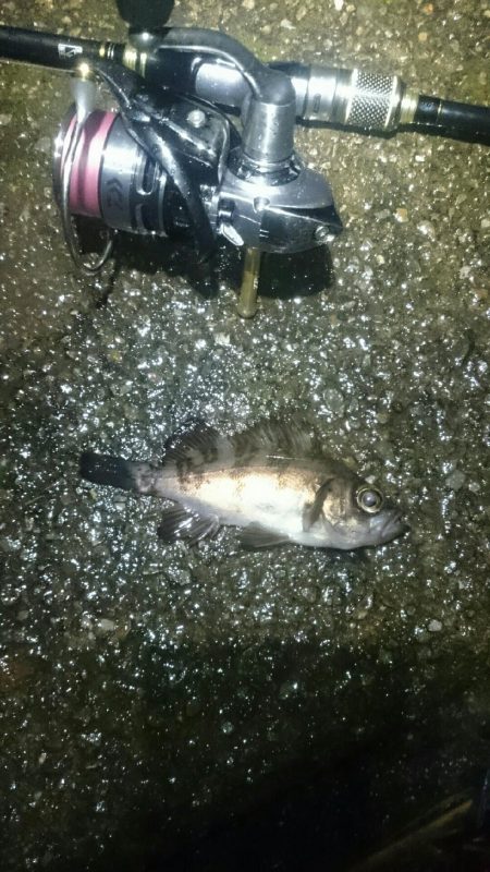 雨でもやりまっせ！