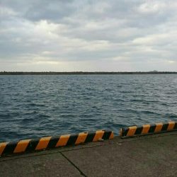 明けおめフィーシュ‼