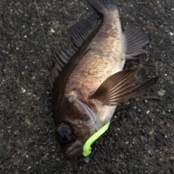 大晦日メバリング