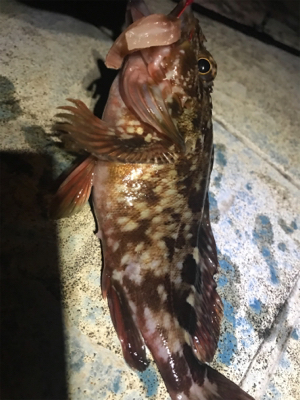 寒い以外はいい環境