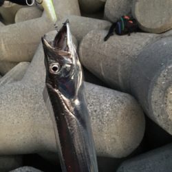 元旦！釣り始め