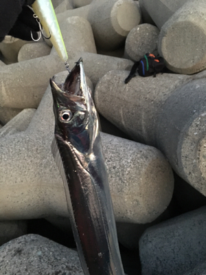 元旦！釣り始め