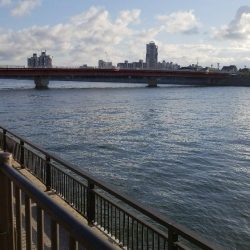 貝塚人工　カレイ狙い