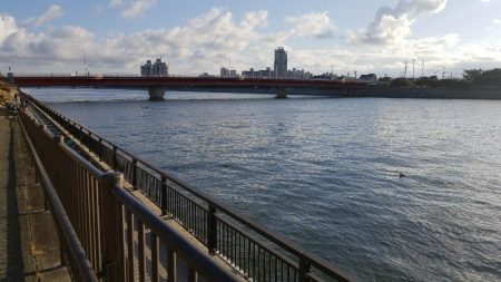 貝塚人工　カレイ狙い