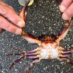 初釣りに来ましたが…