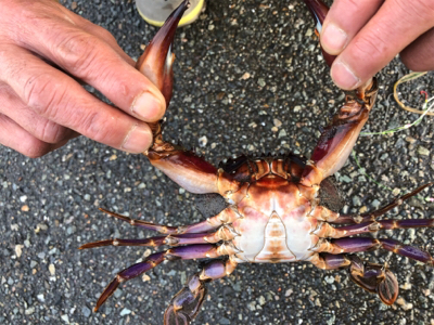 初釣りに来ましたが…