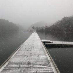 管理釣り場釣行