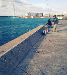 コブダイ釣りと五目釣り