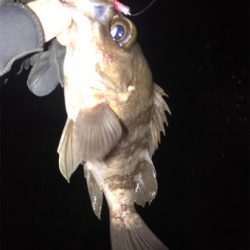 ウェーディングでメバリング