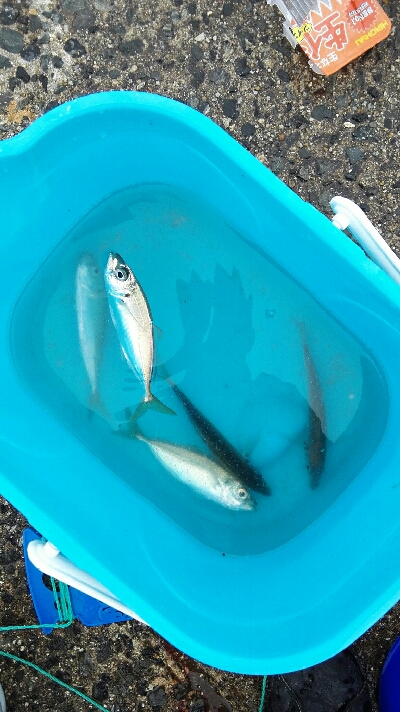 2018年1月4日釣行(釣り初め)in野北…