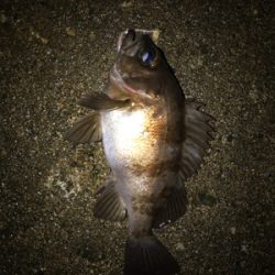 陽が落ちてから。