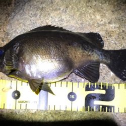 月が隠れたら、、