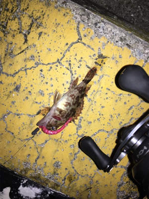 ミニサイズのみ。劇渋