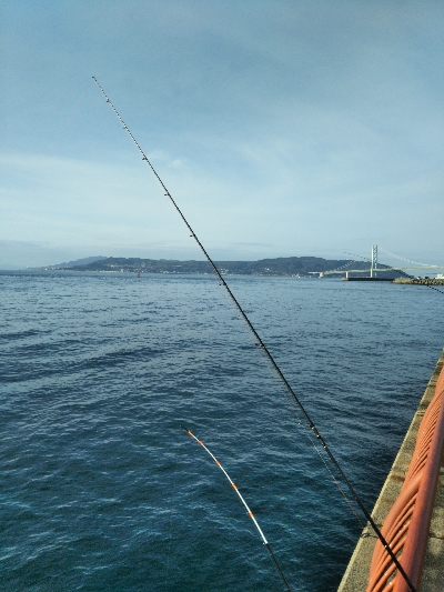 ちょい投げ練習