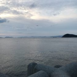 アジング(釣行 其の弐)