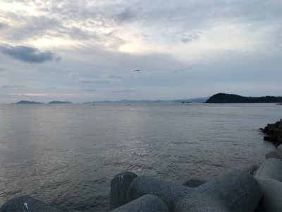 アジング(釣行 其の弐)