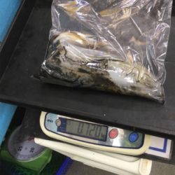 ニューロッドに墨付け