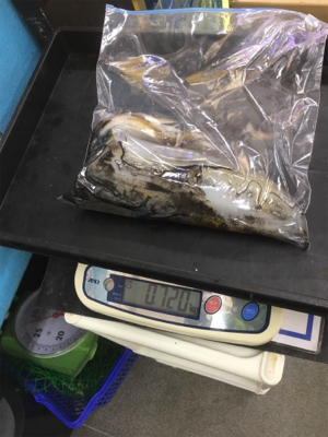 ニューロッドに墨付け