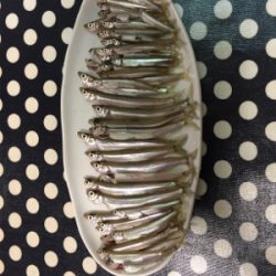 布目ダム ワカサギ初釣